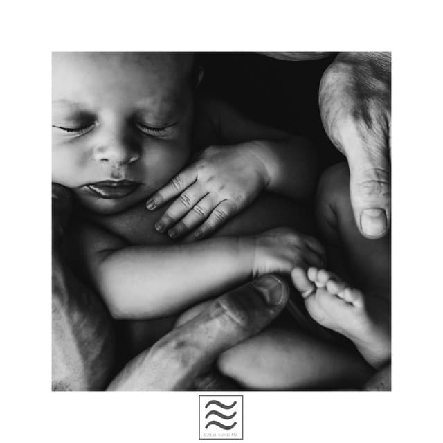 Restful Smooth Soothing Womby Shushers - Fan Sounds