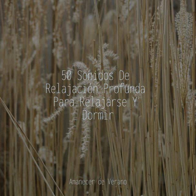 50 Sonidos De Relajación Profunda Para Relajarse Y Dormir - Música Zen Relaxante