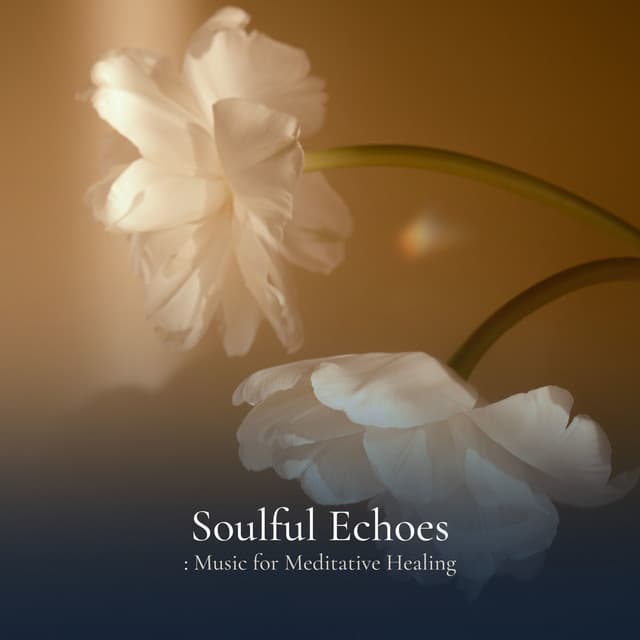 * Soulful Echoes: Music for Meditative Healing * - Reading Music Company