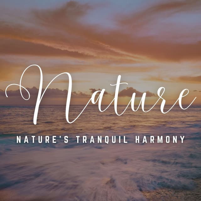 Meditation Oasis: Nature's Tranquil Harmony - Winds Of Minds