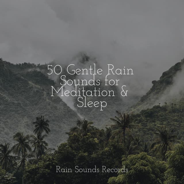 50 Gentle Rain Sounds for Meditation & Sleep - Pro Sound Effects Library