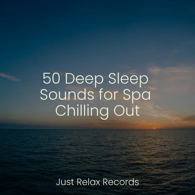 50 Deep Sleep Sounds for Spa Chilling Out - Relajacion Del Mar