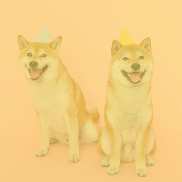 Guitar Chill Out - Background for Time With Pups - Dog Relax