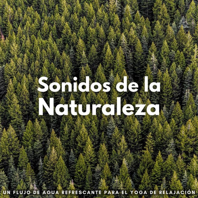 Sonidos De La Naturaleza: Un Flujo De Agua Refrescante Para El Yoga De Relajación - Sonidos relajantes del agua