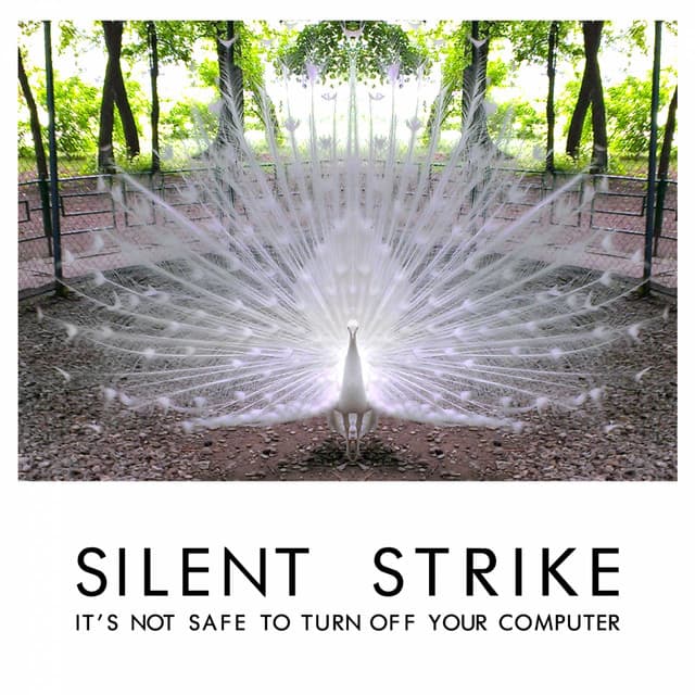 It's Not Safe to Turn off Your Computer - Silent Strike