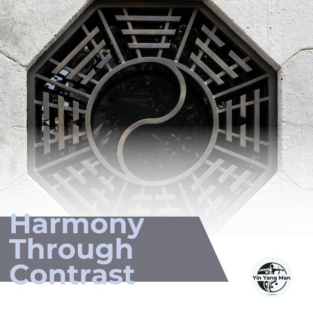 Harmony Through Contrast - Yin Yang Man