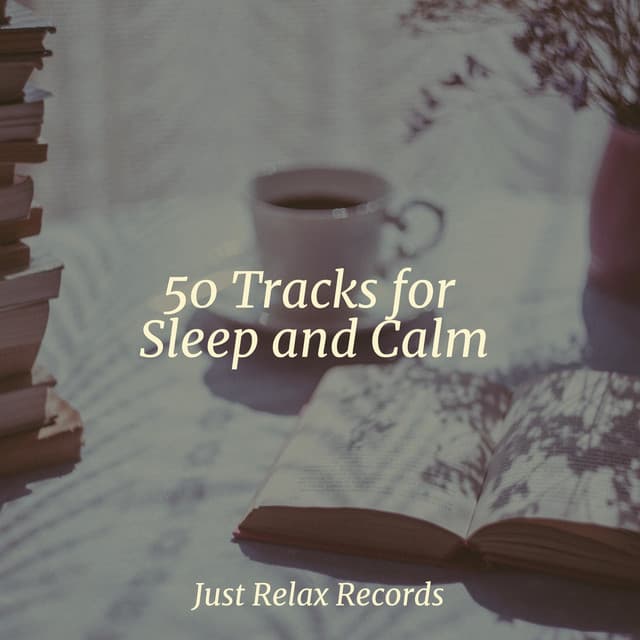 50 Tracks for Sleep and Calm - Sleep Music Lullabies