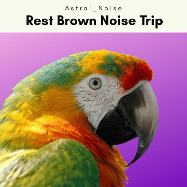 1 Rest Brown Noise Trip - Astral Noise