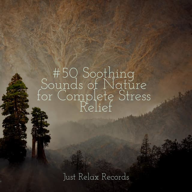 #50 Soothing Sounds of Nature for Complete Stress Relief - Musica Romantica Ensemble