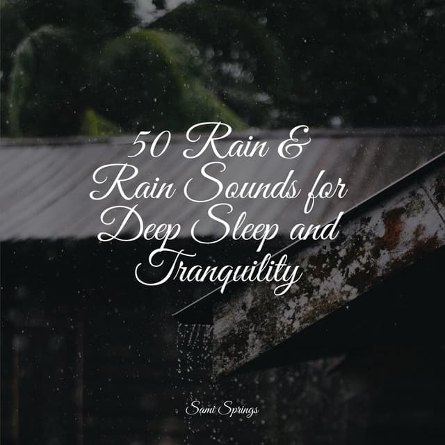 50 Rain & Rain Sounds for Deep Sleep and Tranquility - Sonidos de la Naturaleza