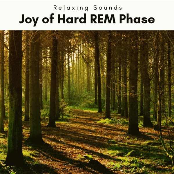 A Joy of Hard REM Phase - Nano Sounds