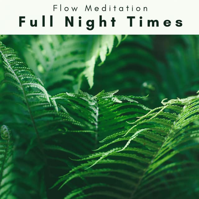 1 o 1 Full Night Times - Flow Meditation