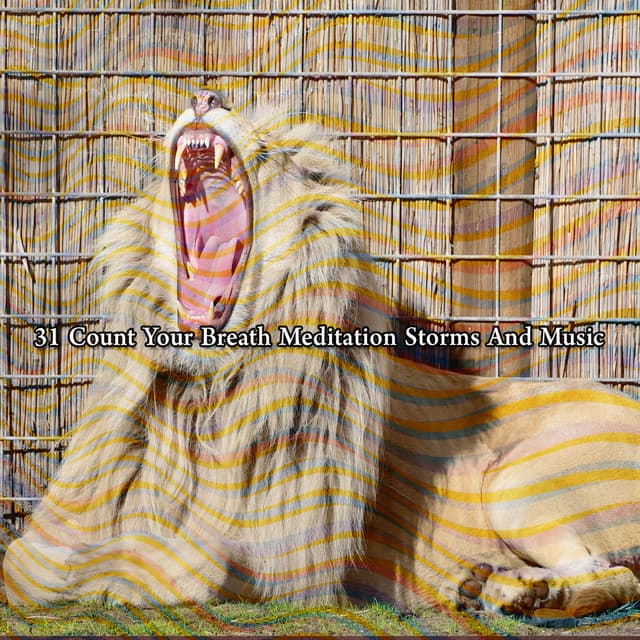 31 Count Your Breath Meditation Storms And Music - ASMR HD