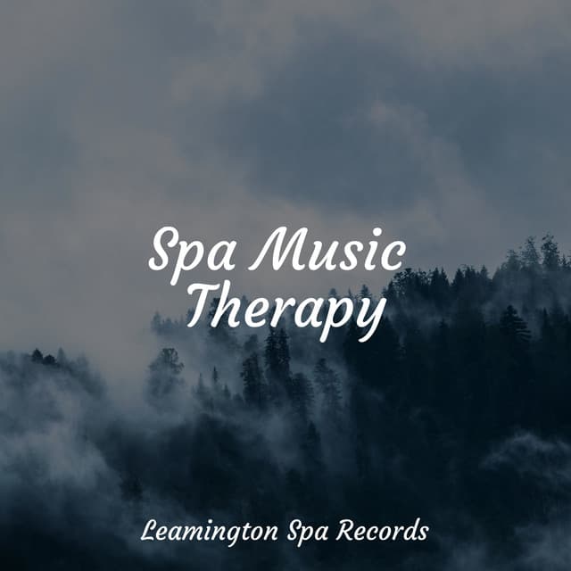 Spa Music Therapy - Rain