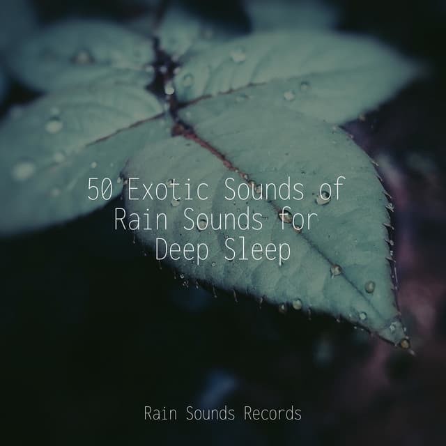50 Exotic Sounds of Rain Sounds for Deep Sleep - Calm Music for Studying