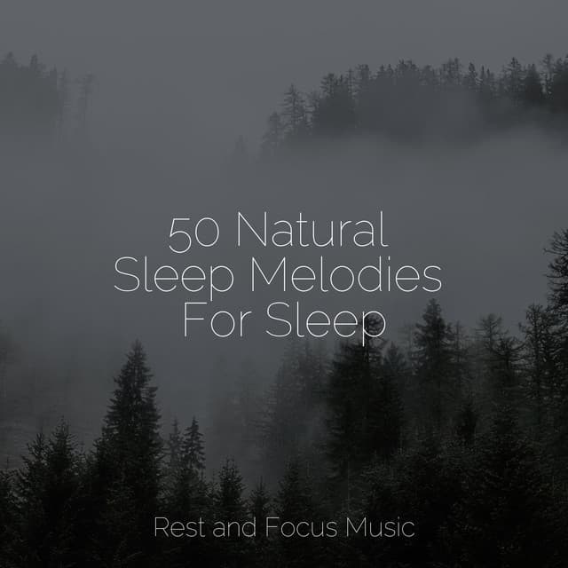 50 Natural Sleep Melodies For Sleep - Deep Focus