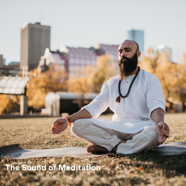 The Sound of Meditation - Zen Meditation Garden