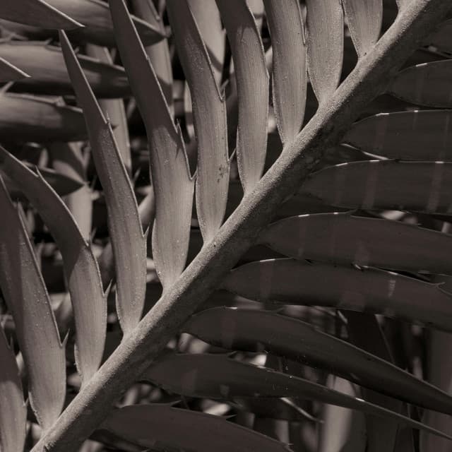 1 Path: States Of Higher Thought - Yoga Music