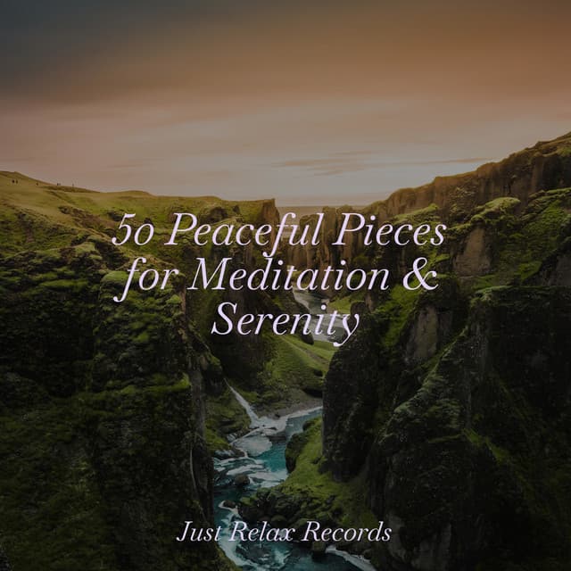 50 Peaceful Pieces for Meditation & Serenity - Música Para Meditar y Relajarse