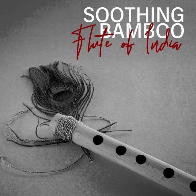 Soothing Bamboo Flute of India - Jardim Zen