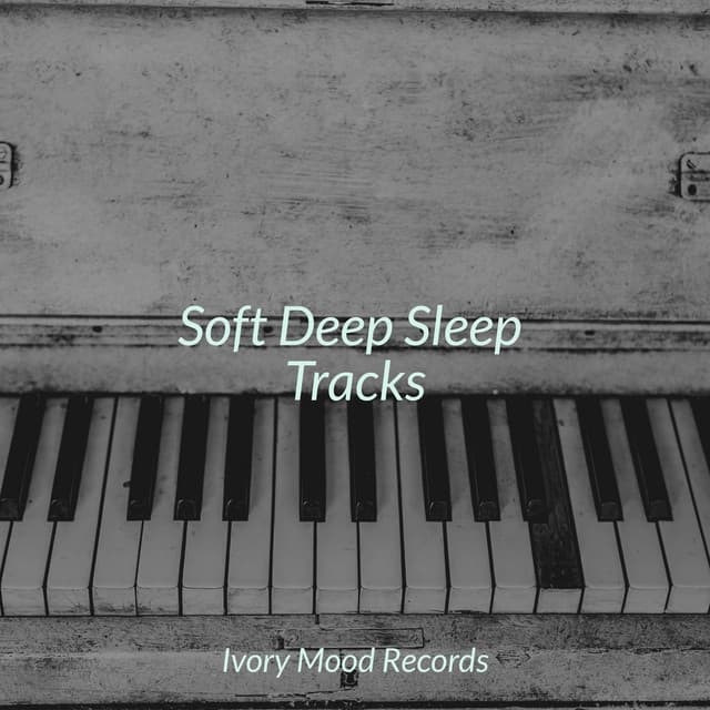 Soft Deep Sleep Tracks - Best Relaxing SPA Music