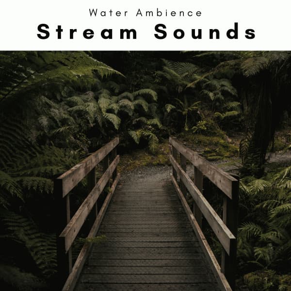 2022 Stream Sounds - Water Ambience