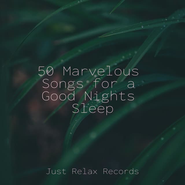 50 Marvelous Songs for a Good Nights Sleep - Musica de Relajación Academy