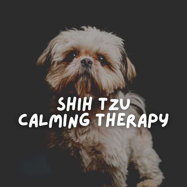 Shih Tzu Calming Therapy - Sleeping Music For Dogs