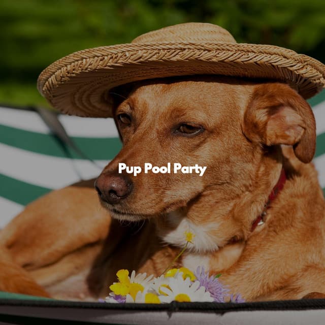 Pup Pool Party - Dinner Music Chill