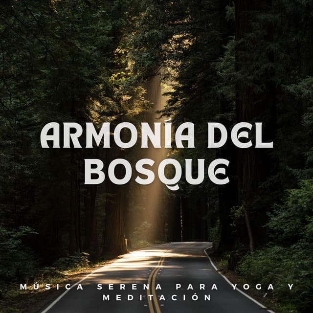 Armonía del Bosque: Música Serena para Yoga y Meditación - Musica del bosque