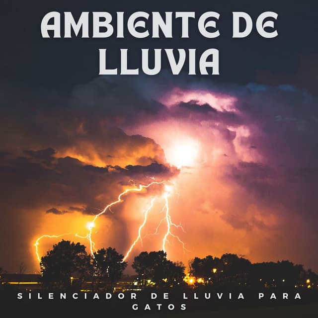 Ambiente De Lluvia: Silenciador De Lluvia Para Gatos - Ruido de Lluvia