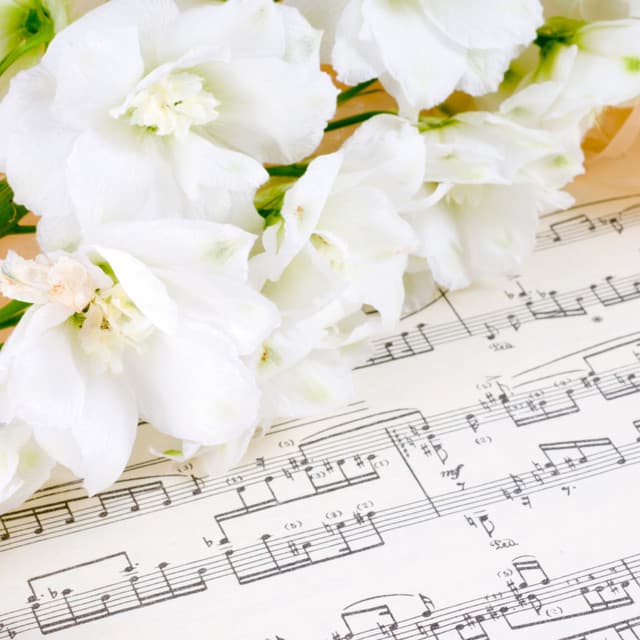 Ambient Music: Feline Zen Garden - Cat Music