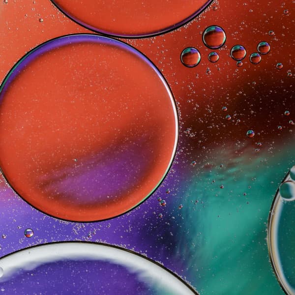 Background Music for Spring Bliss - Música Animada para Cafés