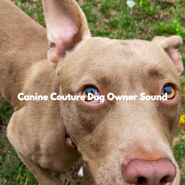 Canine Couture Dog Owner Sound - Sleeptime for Dogs