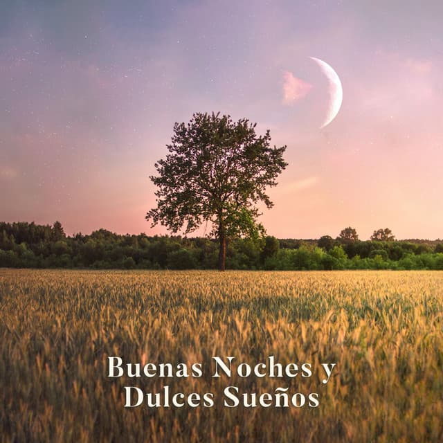 Buenas Noches y Dulces Sueños: Sonidos de Naturaleza para Dormir Bien - Academia de Sonidos de la Naturaleza para Dormir