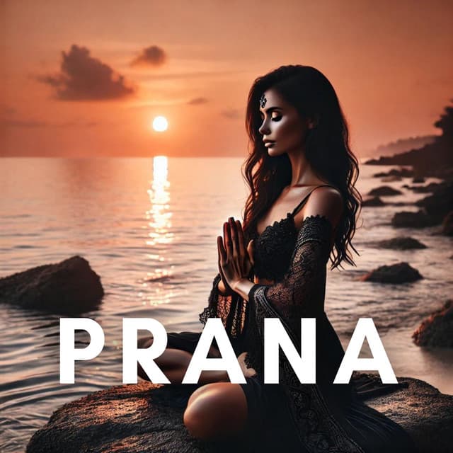 Pranessa
