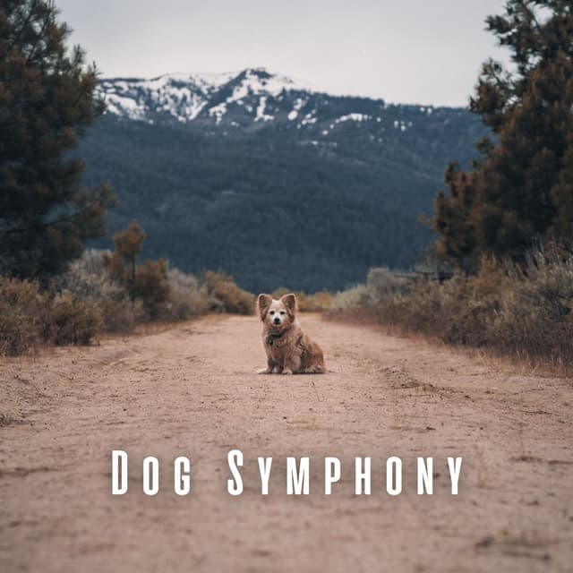 Dog Symphony: Binaural Tunes and Nature's Melodies - Separation Anxiety Dog Music