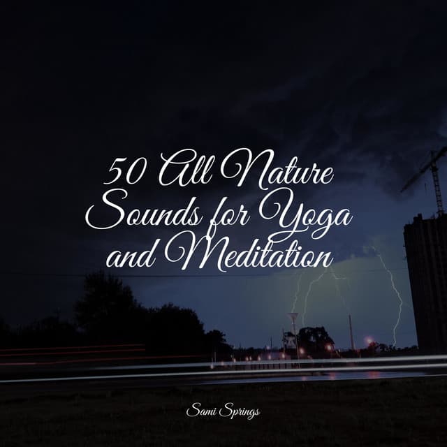 50 All Nature Sounds for Yoga and Meditation - Rain Spa