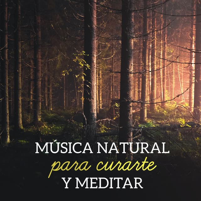 Academia de Sonidos de la Naturaleza para Dormir