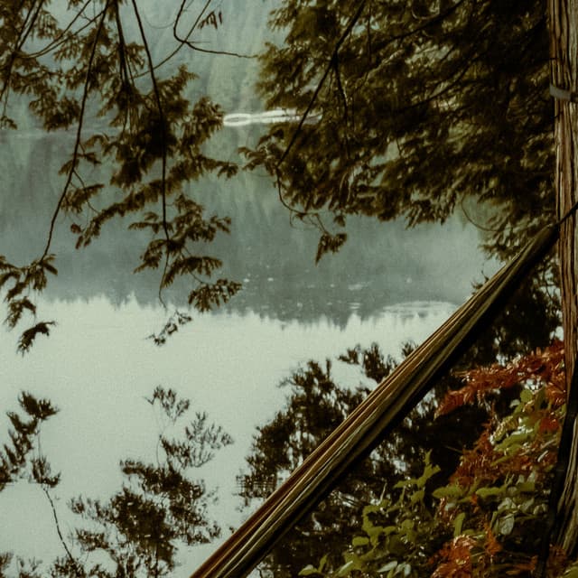 1 Ambient: Forest Stream - Baltic Nature Sounds