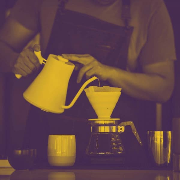 Backdrop for Sunny Morning - Bossa Guitar Trio with Jazz Organ - Concentration Music for Work