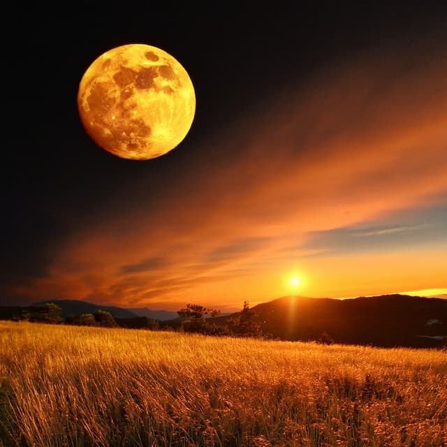 Calma Suave Al Anochecer: Melodías Reconfortantes Para La Paz Nocturna - Relajación para el alma en reposo