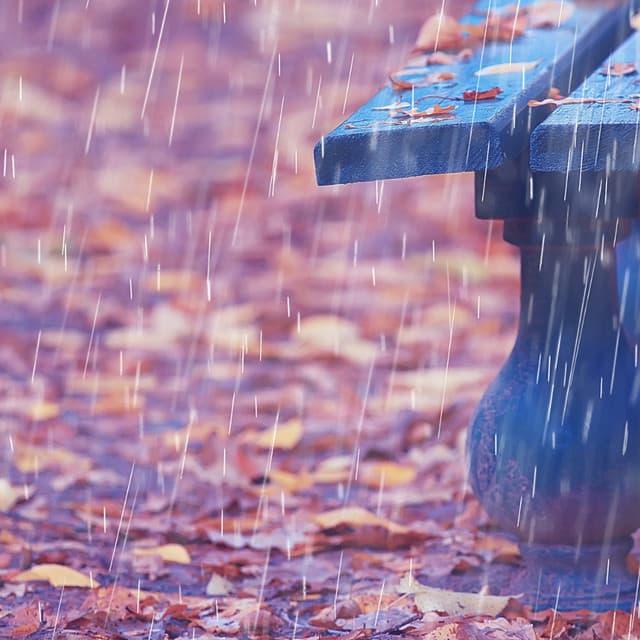 Raindrop Yoga Euphoria: Theta Waves - Healing Rain Sound Academy