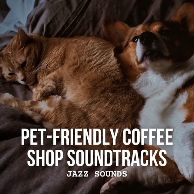 Jazz Sounds: Pet-Friendly Coffee Shop Soundtracks - Coffee Shop Jazz