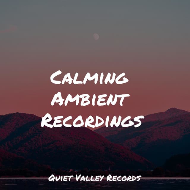 Calming Ambient Recordings - Soothing White Noise for Infant Sleeping and Massage
