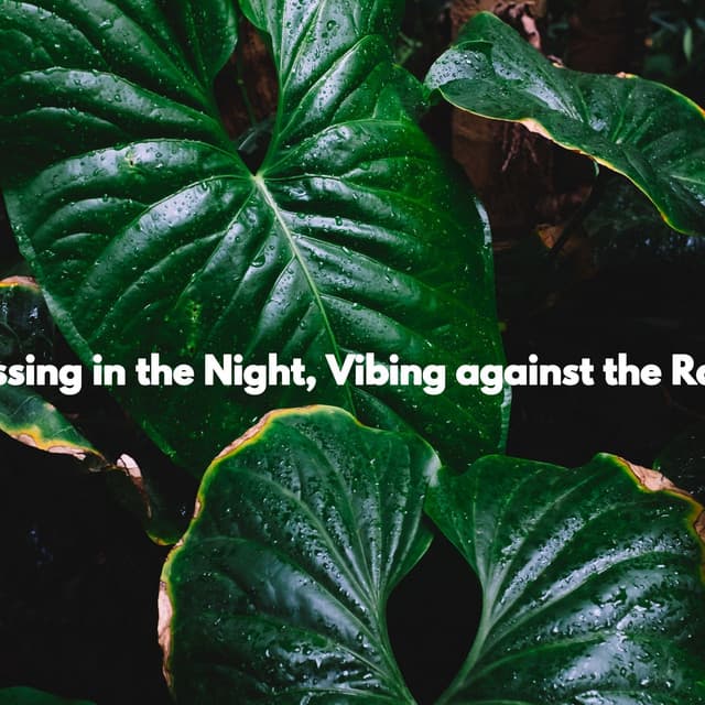 Kissing in the Night, Vibing against the Rain - Música Para Estudar