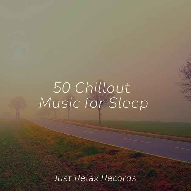 50 Chillout Music for Sleep - Pro Sound Effects Library