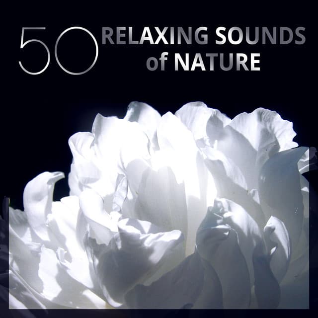 50 Relaxing Sounds of Nature: Peaceful Music for Spa Treatments, Asian Yoga Meditation, Massage & Stress Release - Home SPA Collection