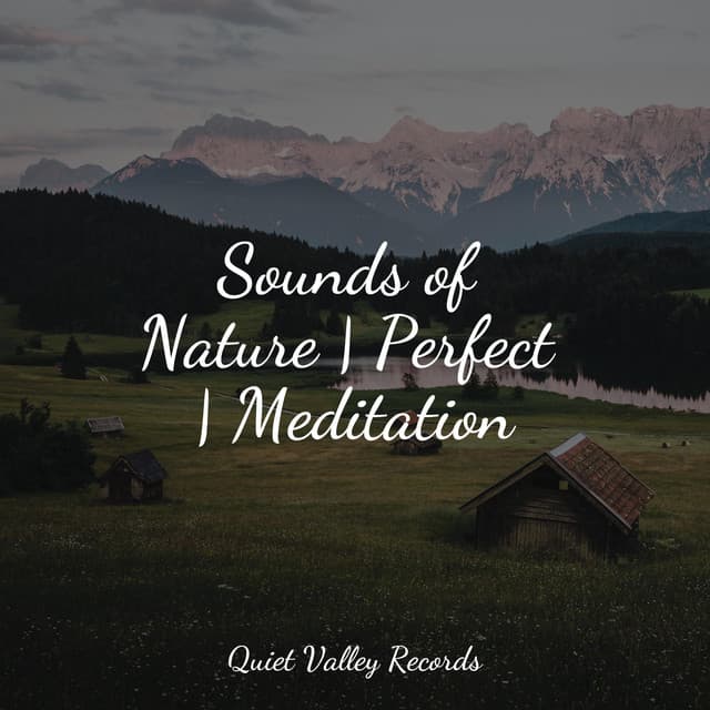 Sounds of Nature | Perfect | Meditation - Soothing Nature Sounds