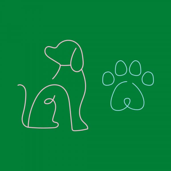 Extraordinary Bgm for Dogs Sitting Back and Relaxing - Chill My Pooch